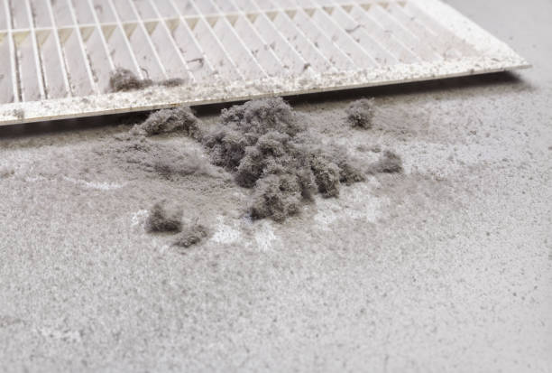 Best Air Duct Cleaning Near Me  in Ferdand, IN