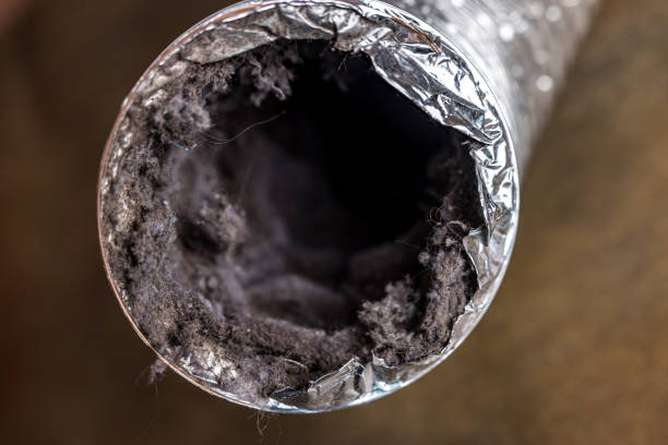 Best HVAC Maintenance and Cleaning  in Ferdand, IN