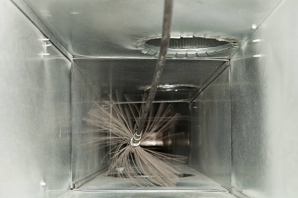 Best Dryer Vent Cleaning Services  in Ferdand, IN